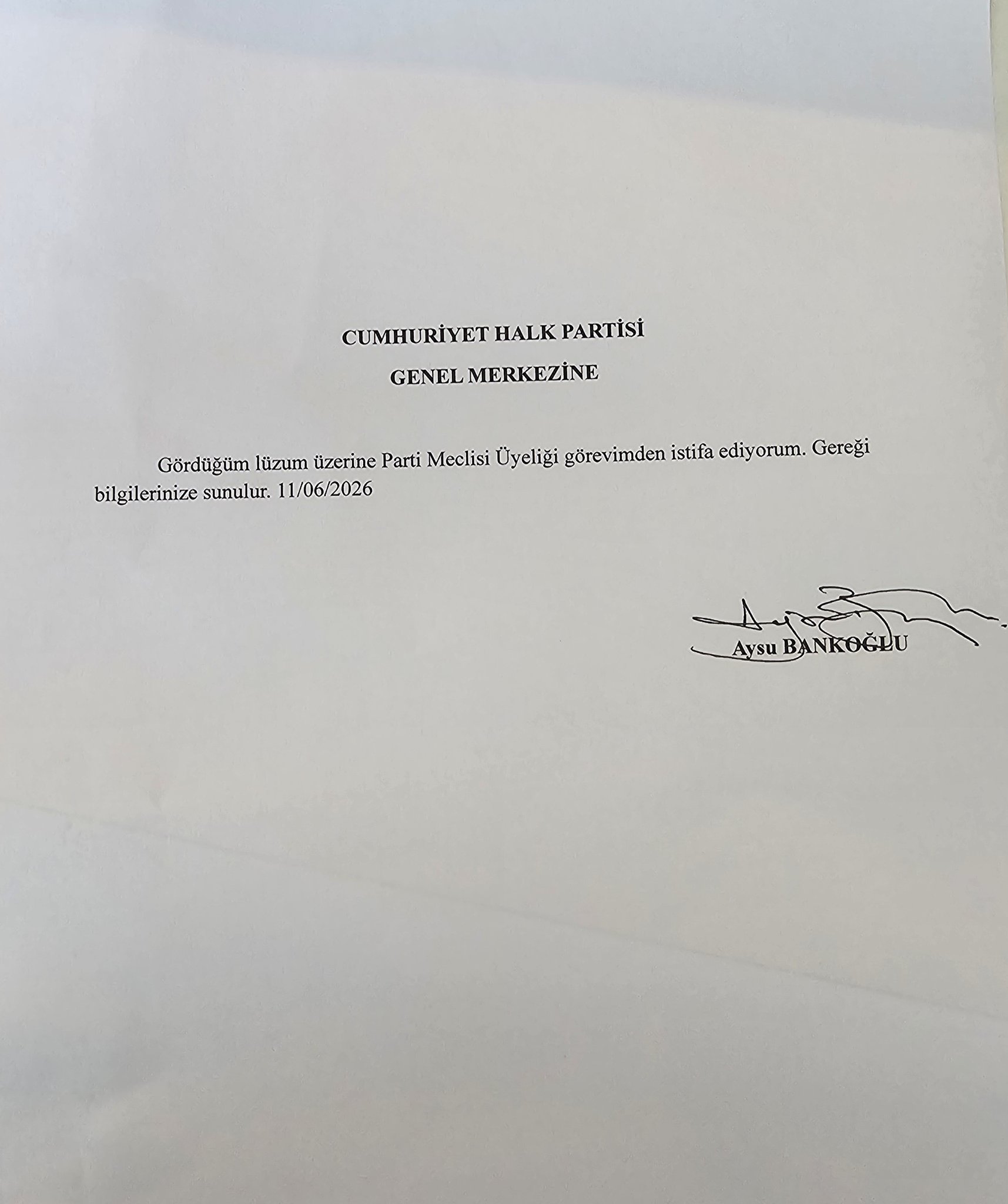 aysu bankoğlu