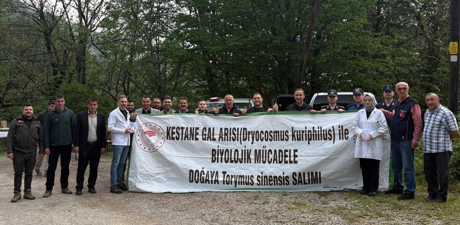 Bartın’da Kestane Ormanları İçin 