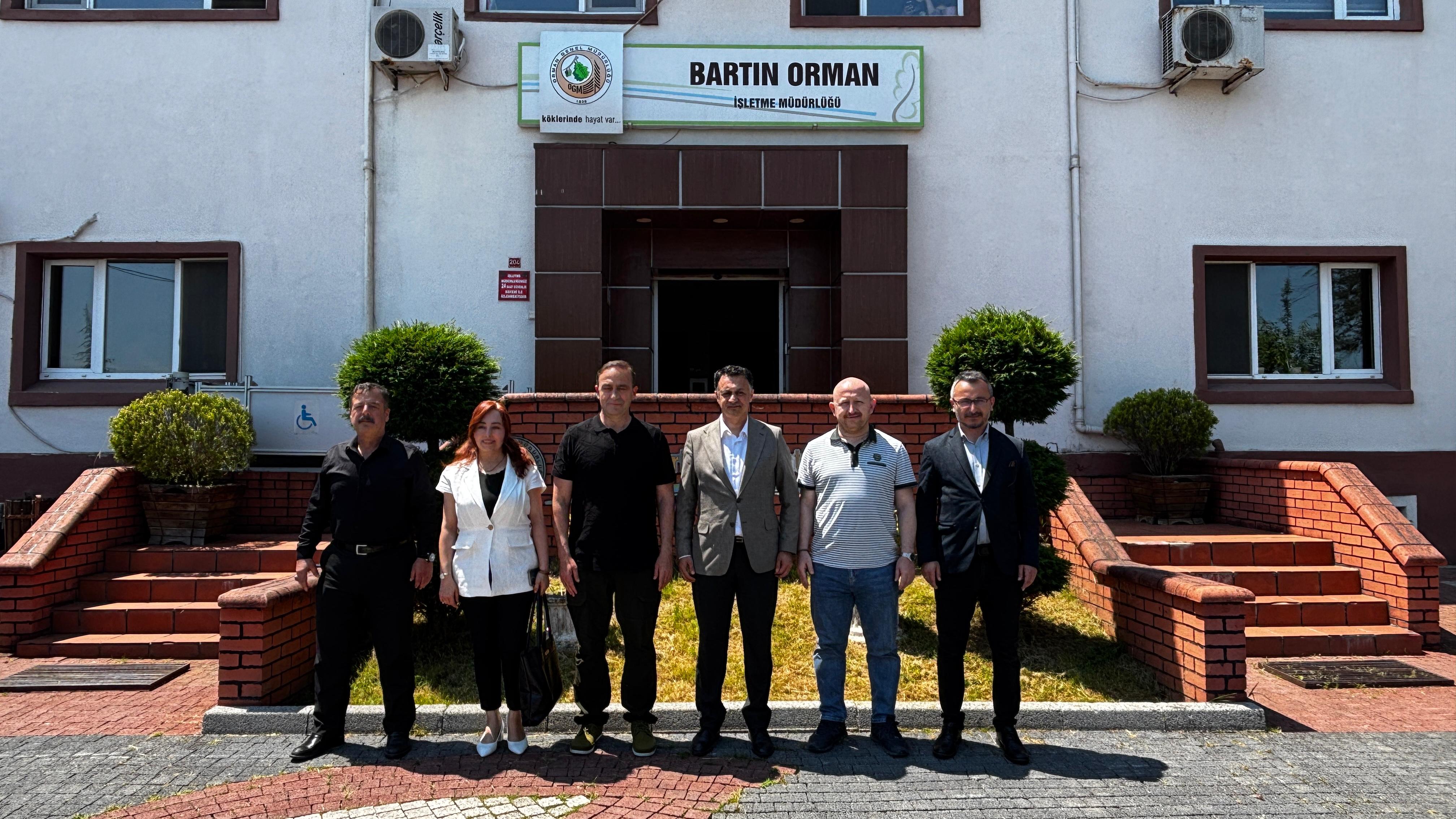 Ormanlarda büyük tehlike! Bartın'ın yeşil altınını yok eden o böcek için kırmızı alarm verildi! 